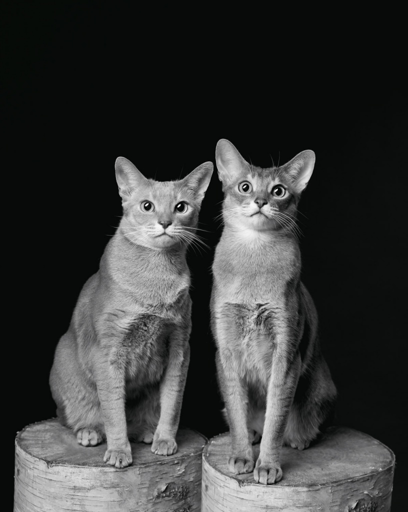 IMG_1079-web.jpg IMG_1079-web.jpg